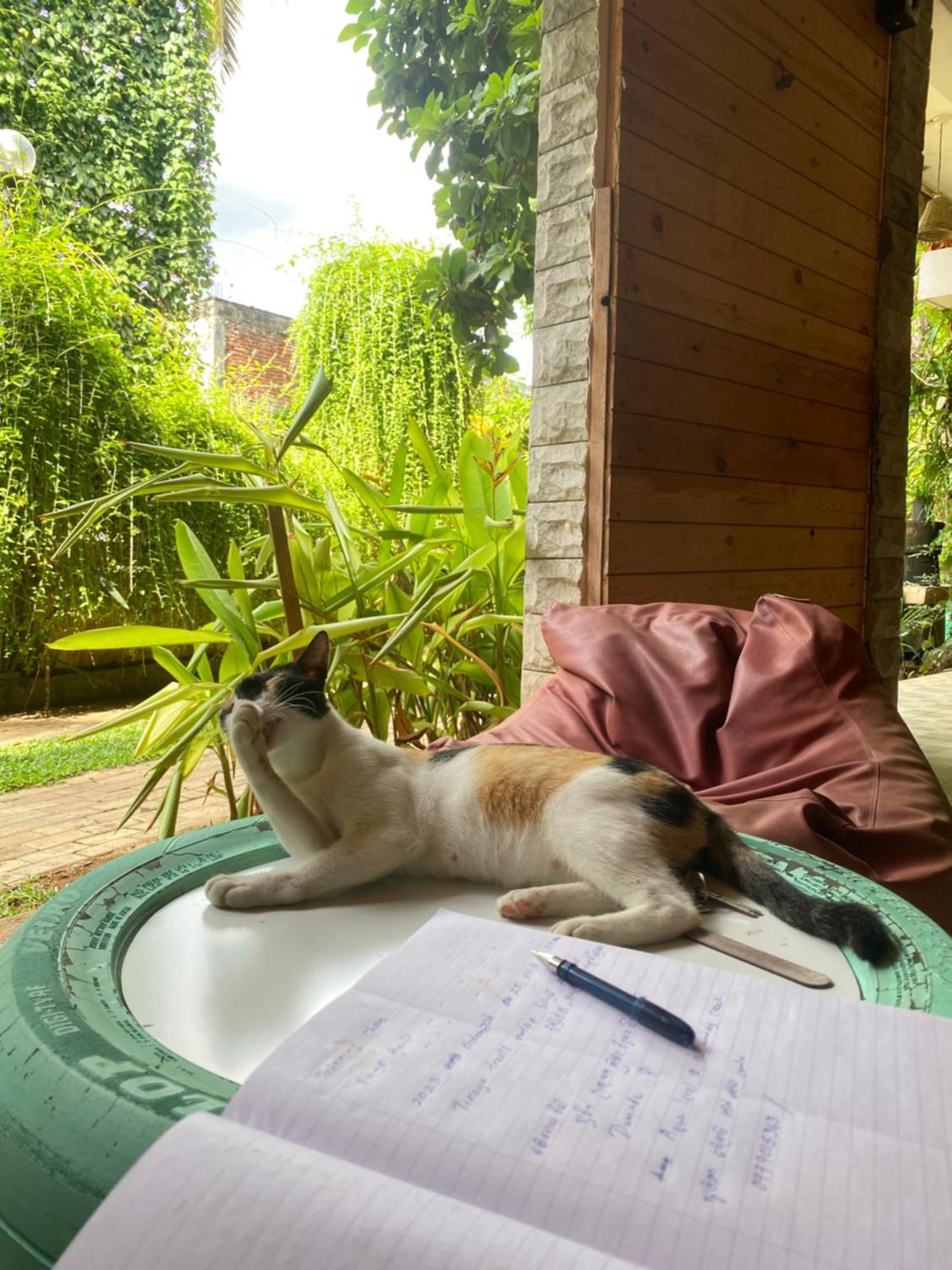 Hotel Tinaya Dambulla Bagian luar foto